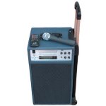 2.4 Zestaw bezprzewodowy nag�a�niaj�cy MPV2004