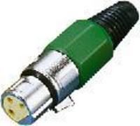 1.6a Wtyk Canon �e�ski plastik/zielony