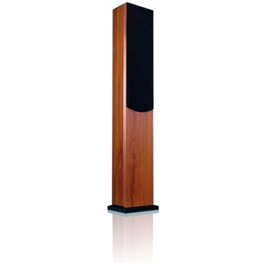 1.6a Kolumna McVoice, 180 W