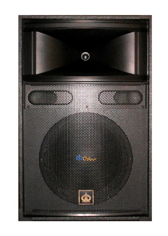 1.3 Kolumna estradowa DBS 600W, Q1225