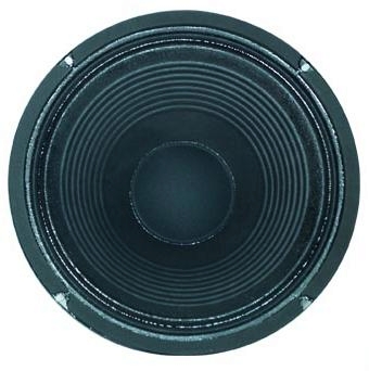 1.3 G�o�nik gitarowy G�O�NIK 12", 30cm, 300W